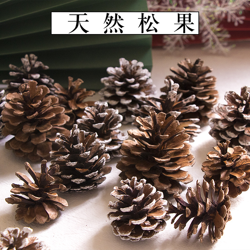 Natural pine cones, white-painted Christmas tree decorations, pine cone photo props, photographic ornaments, dried fruit and dried flower materials
