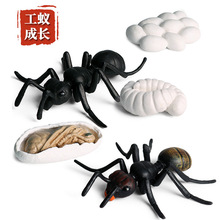 ��ͯ�ƽ����x����ģ�ͷ�������������Λρ���L�������z�[�����b