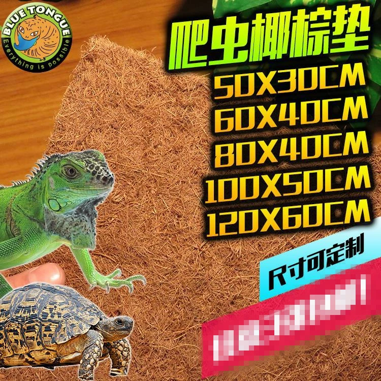 Коробка для кормления черепахи рептилии деревянная коробка высокая коробка зеленая игуана обесцвечивает дно гривы ящерицы кокосовый корма коврик коврик леопардовая черепаха коврик