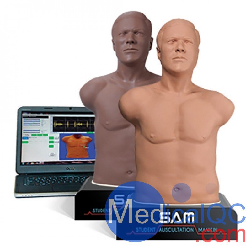 SAM 3G学生听诊人体模型 SAM 3G听诊模型