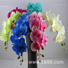 �¿� �߷���8�^�����m ���潁�� �ٻ� �ֹ��� �S��ֱ�N ���l