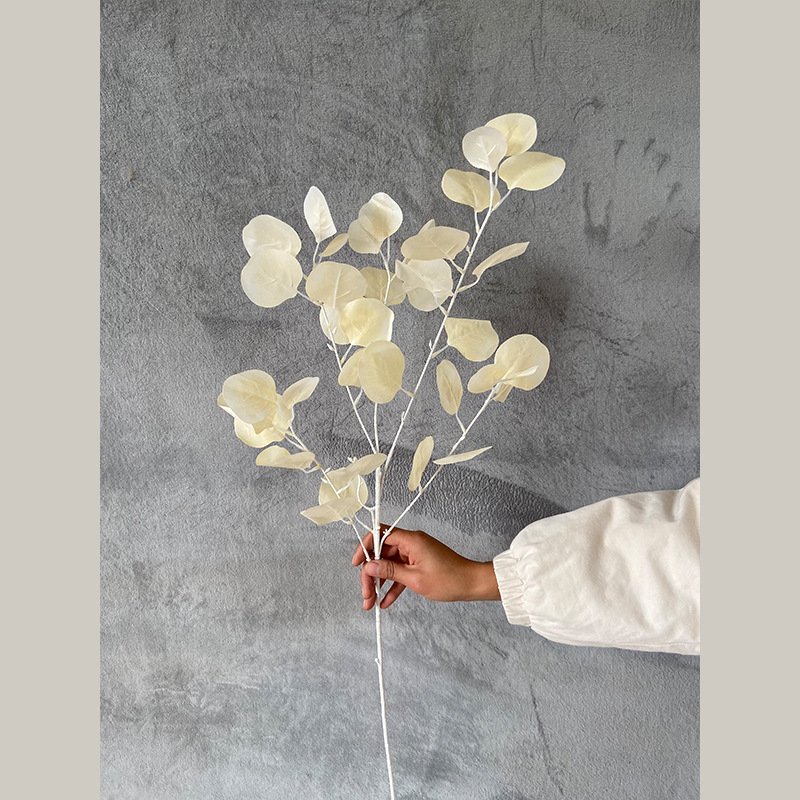 사과 잎-샴페인