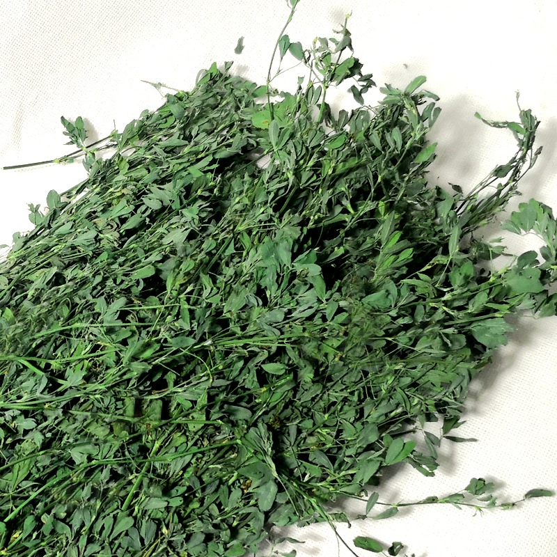 Сушеная люцерна для кроликов, шиншилл и морских свинок, корм для прорезывания зубов, 1 кг/упаковка