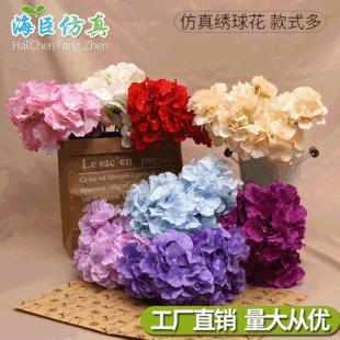 ���潑�� ���������������ɫ���Q�Ҿ��b�c�b���