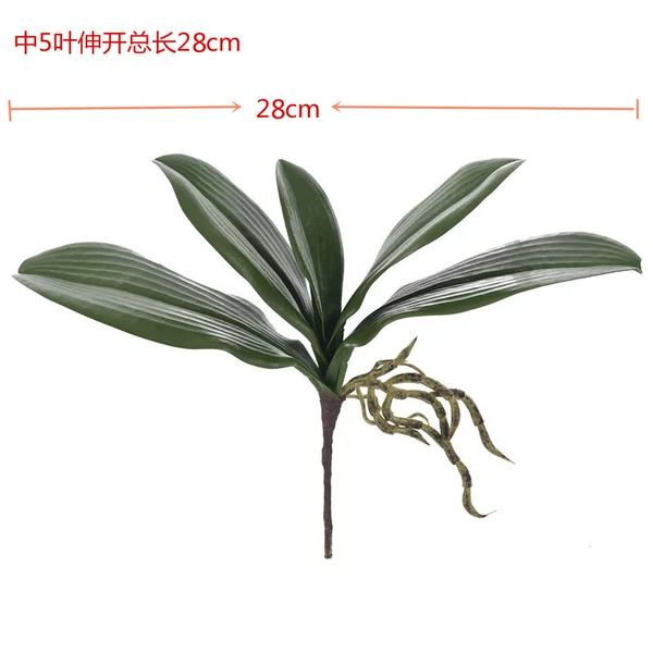 High-end medium 5 leaves