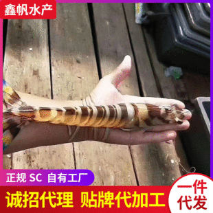 ���r��߹��r  �r��|ɽ�u�Ź��r�����r�r���ش��rˮ�a���l