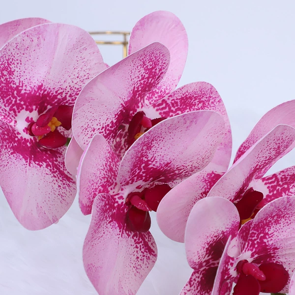 Noble purple