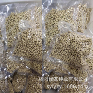 ���l�²ɻh�ʠ�����ֲ�����ٷN���ך������޽����ӳ���ռľ������