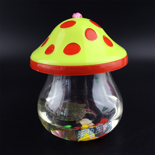 Small fish bottle stall plastic goldfish bottle turtle bottle portable cartoon QQ bottle goldfish tank jellyfish bottle transparent turtle box