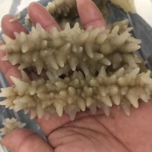 ���l�ӡ������� ��̅����S�� ��Ȼ���ɺ�����؛ 160-220�^