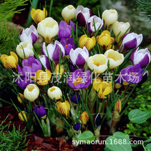 ���l���t�� �ؼt�� ���t���N��ͥԺ�����޸����ܷN��