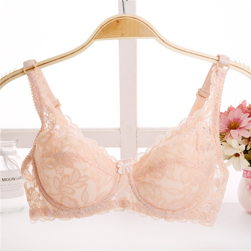 Foreign trade AliExpress bra spring and summer thin breathable large size lace bra sexy push-up adjustable underwear