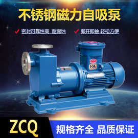 自吸磁力泵厂家 ZCQ型磁力驱动泵 自吸式无堵塞排污泵 腾龙泵阀