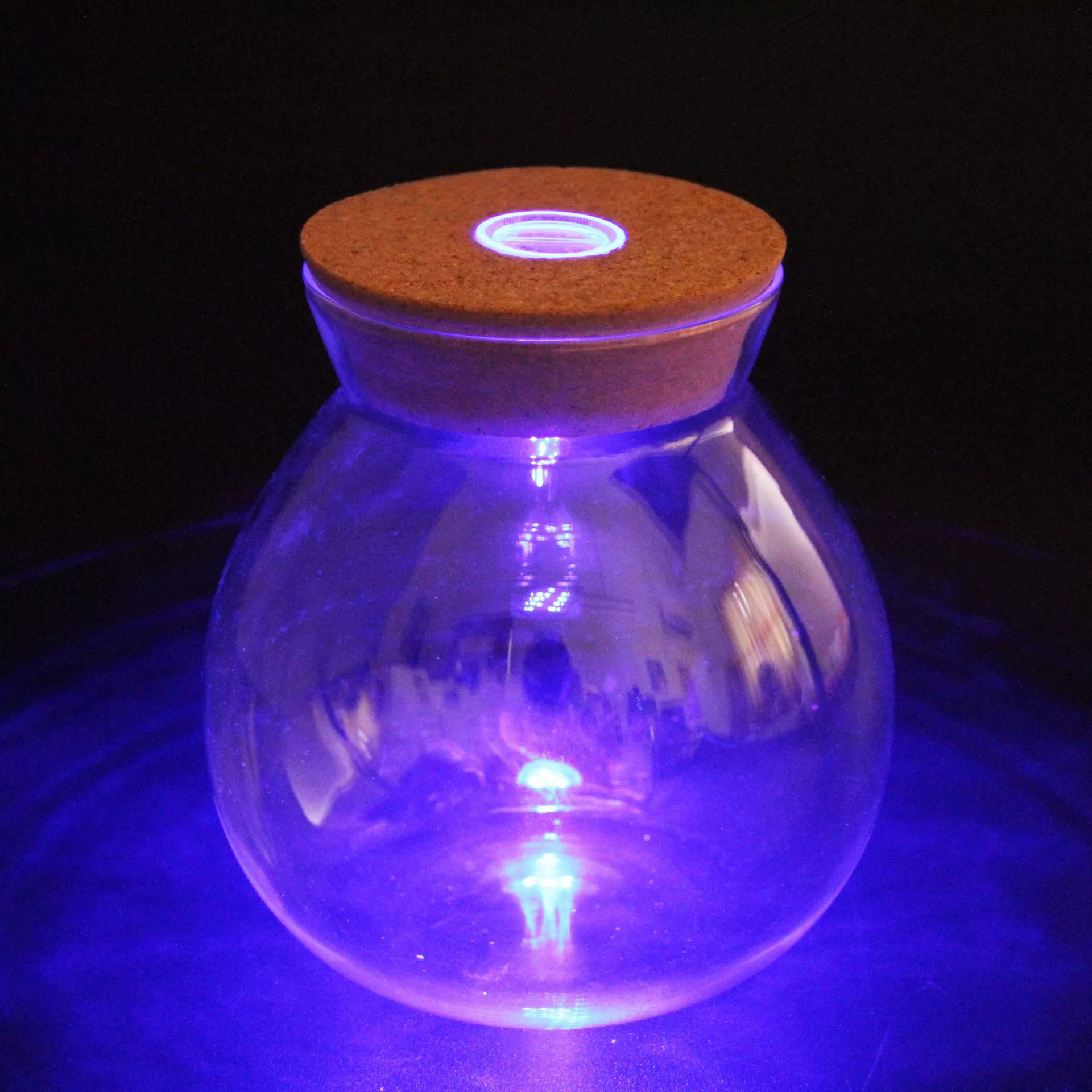 Мосс микро пейзаж красочная стеклянная бутылка с огнями цветные огни пробковая стеклянная бутылка Светодиодная свеча с дистанционным управлением