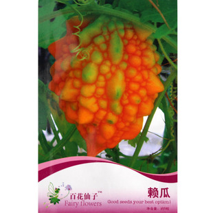 Сه�ϷN��ه���ѷN�ӽ���ӷN��С�]�ϷN��С������߲˷N�����l