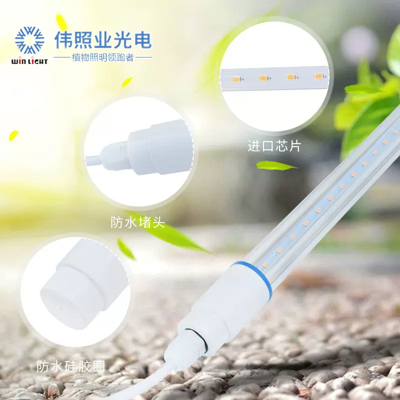T8防水灯管 大棚种植led植物灯全光谱植物补光灯一体化植物生长灯