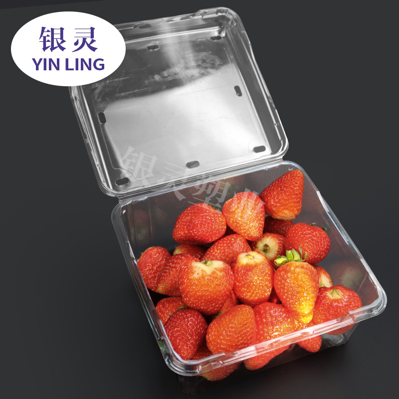 【新款上市】草莓盒子1公斤装一次性透明PET水果盒工厂直营量大优
