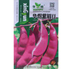 Purple bean seed lentin seed cowpee seeds four seasons of bean seeds bean corner seeds vegetable seeds