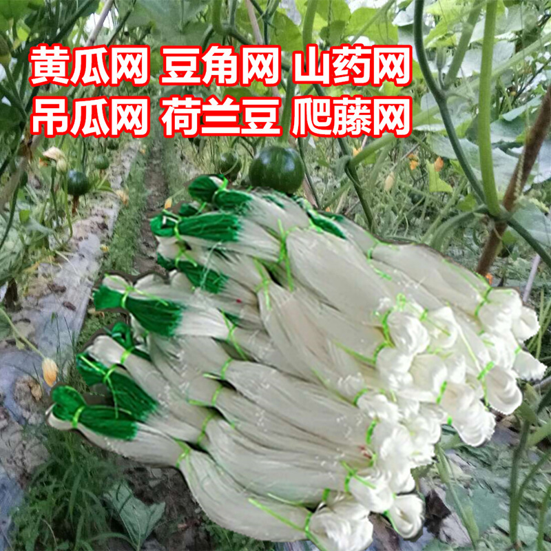 Planta escalada de vid Red de escalada rack Yam Net colgando melón pepino red frijol cuerno red escalada soporte de plantación neta fábrica al por mayor