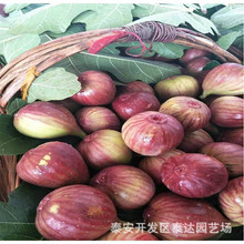 �����ձ��Ϲ��o�������� �������@��ֲ1�����o��������