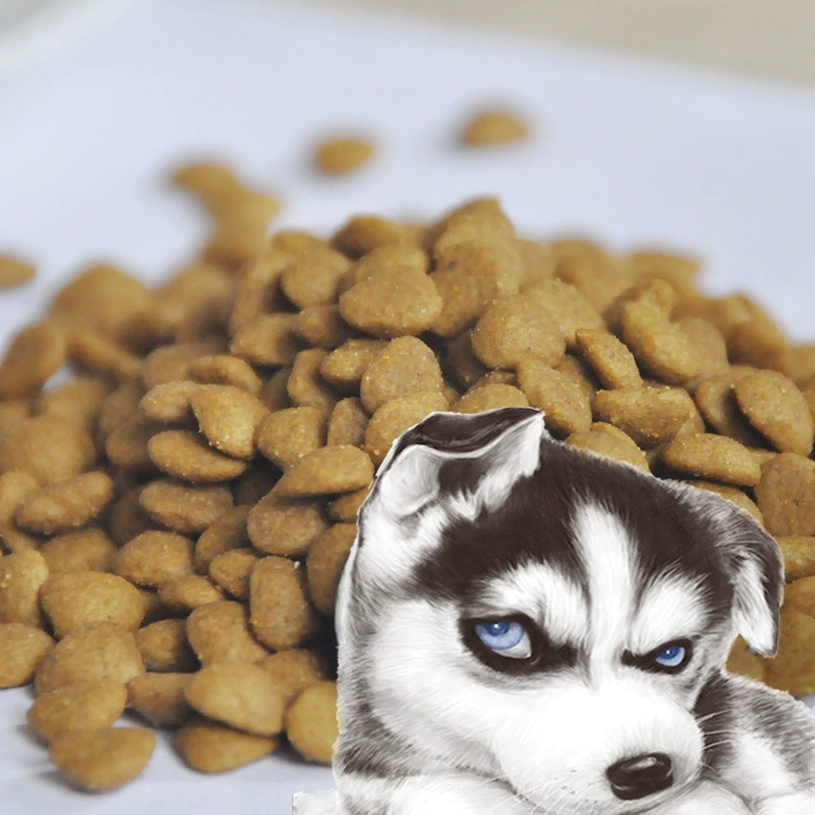Собака Корм для собак Закуски Еда для домашних животных Собаки Лабрадор Тедди Собака Еда Общий Корм Для Животных