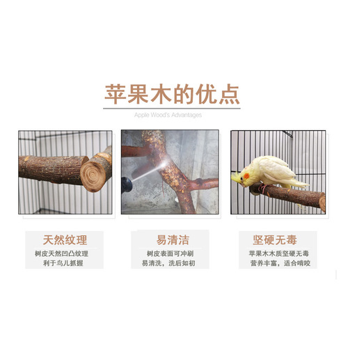Factory goods pass Amazon parrot bell swing bird toy parrot nibbling supplies apple wood wooden parrot stand