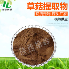 草菇提取物 50:1高比例草菇粉 稻草菇/兰花菇提取物 1KG起订 包邮