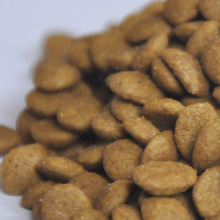 ȫ�A��Ȯ�Z�S��ֱ�����Z��ë̩�ϠI�B���|�Zͨ�����l ����ʳƷ