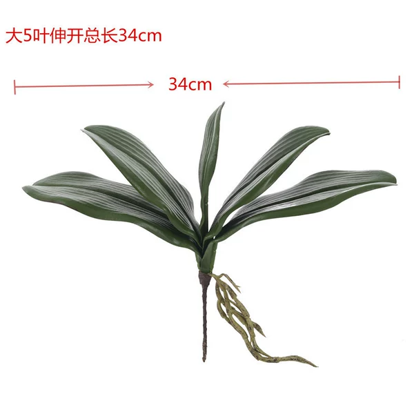 High-end large 5 leaves