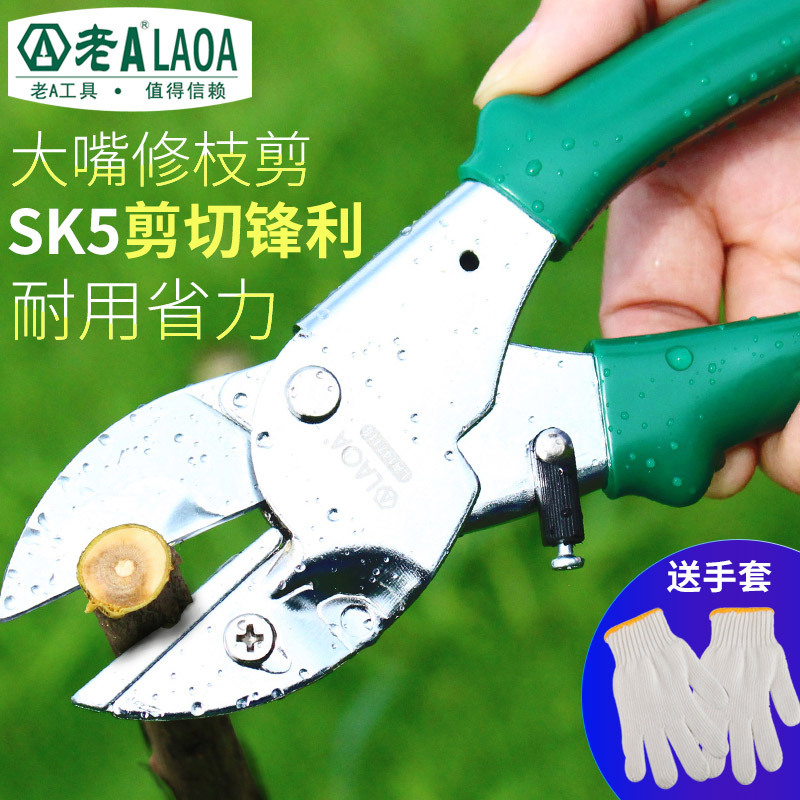 老A园艺剪刀8寸树枝剪刀果枝剪园林剪刀修花剪刀修枝摘果剪刀