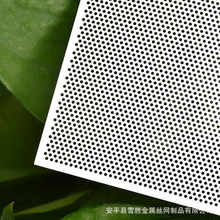 ���P��L�����g���^�V�WƬ ���0.5mm��߅�A�׽��ٻ��W�g�̾W