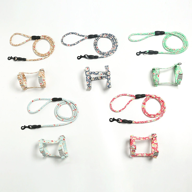 Упорный ветер домашние животные скользят кошачью веревку кошачью веревку кошачью веревку кошачью домашнюю кошку