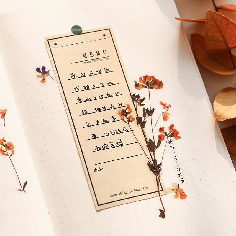 Mr. Paper PET pegatinas serie de flores 2 diario de plantas frescas DIY pegatinas de material decorativo de forma especial 6