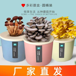 鞋垫/增高垫;后跟贴;鞋辅件