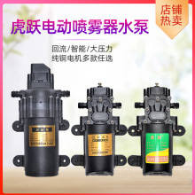 电动喷雾器水泵 隔膜泵 12V 纯铜高压厂家 供应