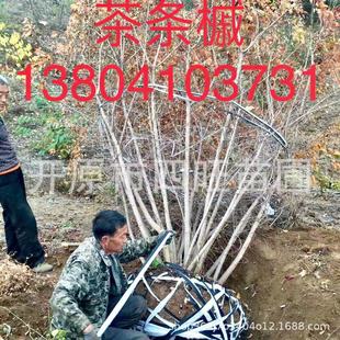 2024�＾������l�ʾG�h1.2һ2�׸� ���Ǘ����С��