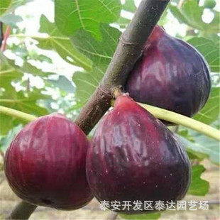 �Ϲ��o��������r�� ��ϵ�l�_ �ɻ��ʸ� �Ϲ��o������Nֲ����