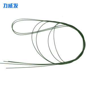 �t�����z�������w���댧�z�����t��θ�R���K���돗�ɏS������r��