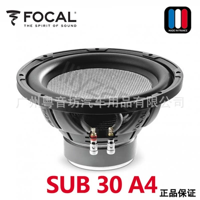 French FOCAL/strong wave SUB Car speaker/subwoofer