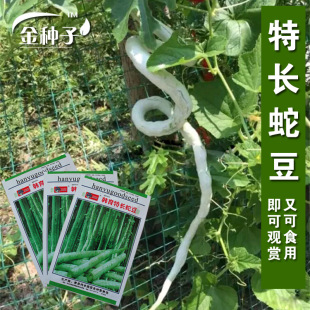 �߶��N���߹ϷN���L���ǷN�Ӽܶ��N���߲˷N�����l�˷N���ѷN��