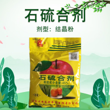 45%ʯ��τ� ���w�����̽�����򻚤�x�P��ʭ�׷۲��~�\����ă�