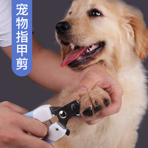 Cat nail clippers dog pet cat clipper cat nail clipper cat nail clipper anti-scratch supplies