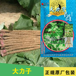 ţ���ӷN��ţ�������в�ș�N�Ӳ�ș�N����ș�N����ș�ķN��