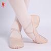 Red dance shoes children's soft bottom adult men's and women's dance shoes Cat claw canvas practice ballet shoes 1002F