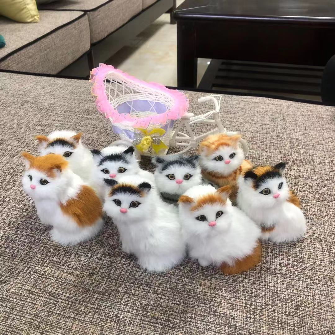 Toy