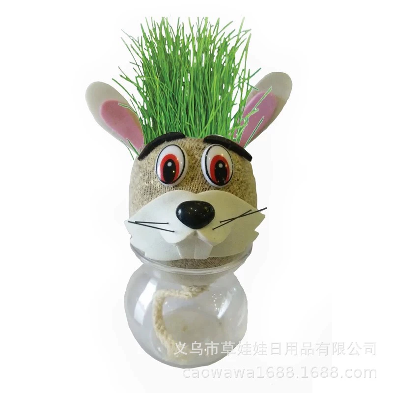 Посадка длинная трава растение Трава Кукла лесная история подарок офис маленький горшок