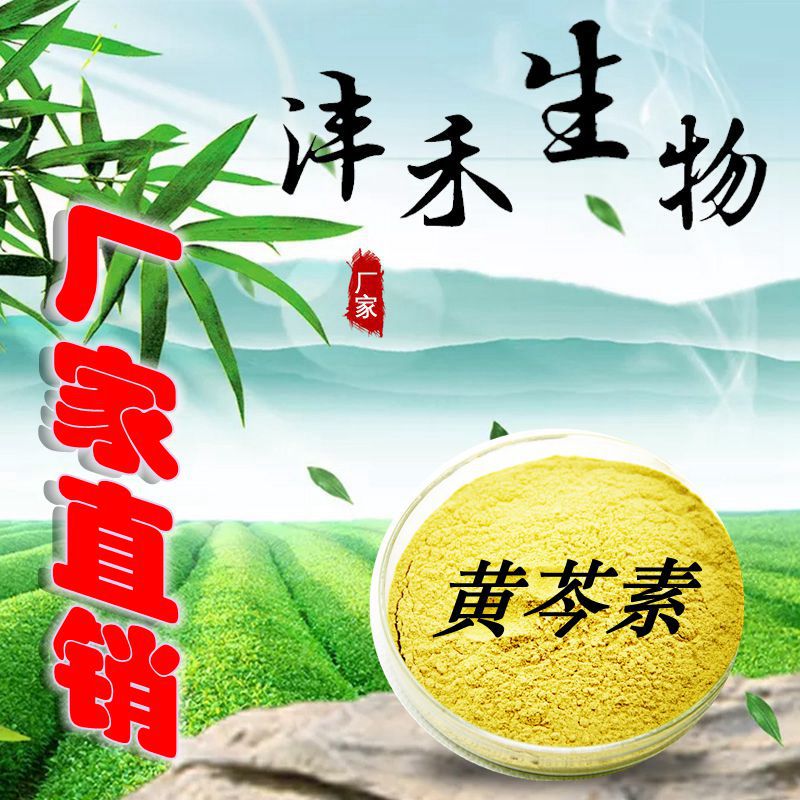 黄芩素 98%  黄芩提取物    厂家现货  沣禾生物 三证齐全