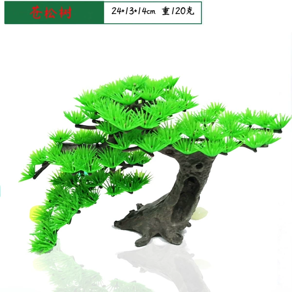 Pine