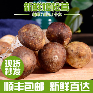 ��Ϯa�ؼ������خa���r����ʳ�þ����������Ҝ�ʳ�Įa�����lɢ�b