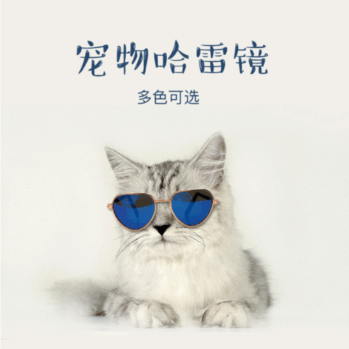 Pet Glasses, Mini Cat Sunglasses, Teddy Dog Personality Trendy Sunglasses, Harley Glasses - Factory Direct Sale